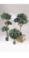 Kunstpflanze - Ficus panda Kugel