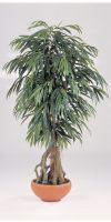 Kunstpflanze - Ficus longfolia Wurzelbaum