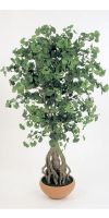 Artificial plant - Gingko with root
