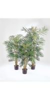 Artificial plant - Areca palm