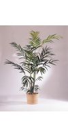 Artificial plant - Kentia palm