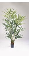 Artificial plant - Kentia palm II